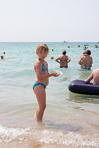 click for enlarge 533 X 800 333.9 Kb picture