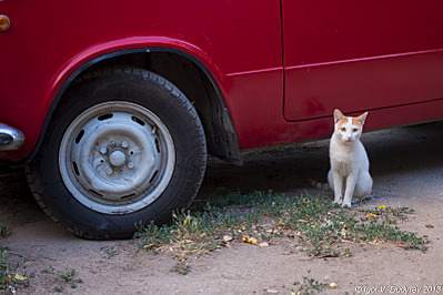 click for enlarge 800 X 533 360.3 Kb picture