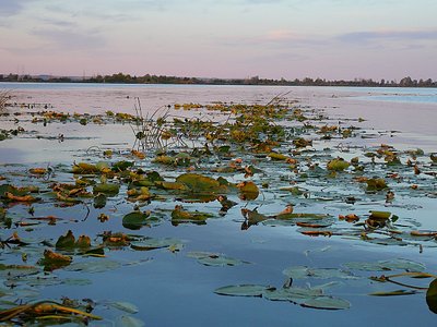 click for enlarge 1280 X 960 260.0 Kb picture