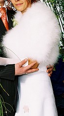 click for enlarge 733 X 1328 238.5 Kb picture