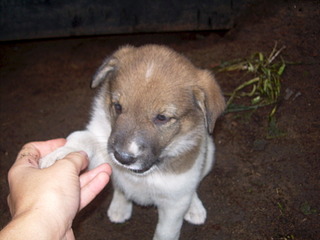 click for enlarge 1920 X 1440 473.7 Kb picture