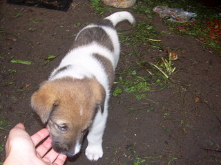 click for enlarge 1920 X 1440 639.6 Kb picture