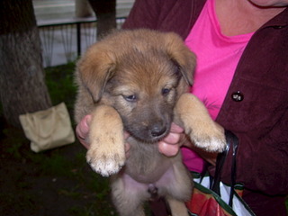 click for enlarge 1920 X 1440 476.0 Kb picture