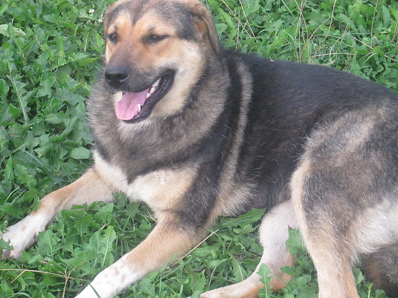 click for enlarge 1920 X 1440 814.8 Kb picture