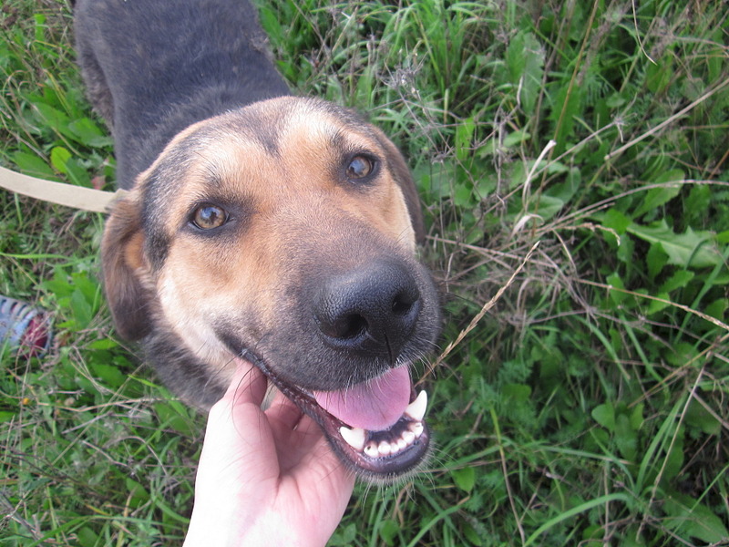 click for enlarge 1920 X 1440 720.6 Kb picture