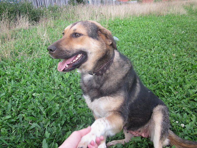 click for enlarge 1920 X 1440 1019.4 Kb picture