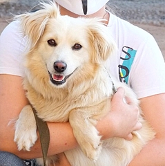 click for enlarge 556 X 557 175.0 Kb picture