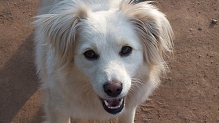 click for enlarge 1920 X 1082 388.6 Kb picture