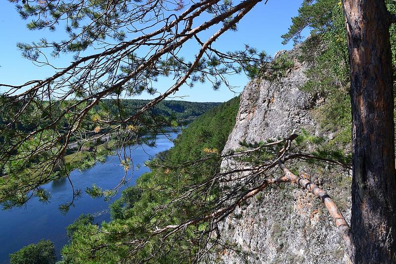 click for enlarge 1152 X 768 353.3 Kb picture