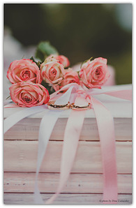 click for enlarge 653 X 1000 320.0 Kb picture
