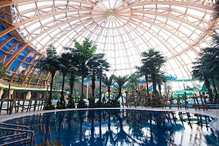 click for enlarge 650 X 433 181.8 Kb picture