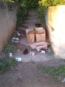 click for enlarge 768 X 1024 146.9 Kb picture