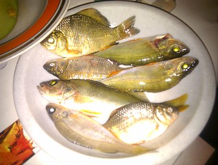 click for enlarge 1920 X 1445 429.8 Kb picture