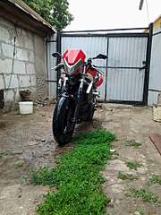 click for enlarge 1536 X 2048 414.9 Kb picture