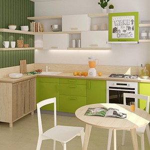 click for enlarge 480 X 480  47.3 Kb picture