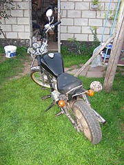 click for enlarge 1704 X 2272 764.4 Kb picture