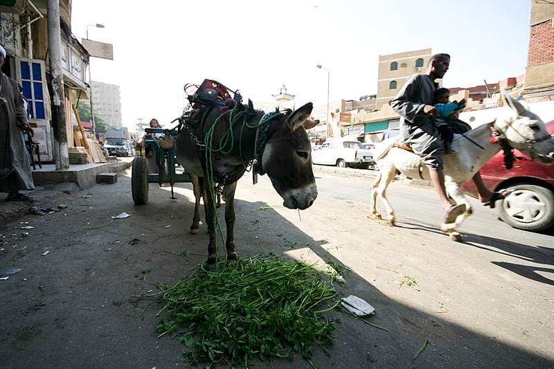 click for enlarge 807 X 538 136.9 Kb picture