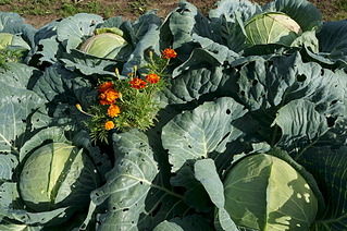 click for enlarge 1920 X 1275 849.2 Kb picture