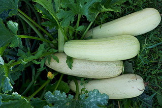 click for enlarge 1920 X 1275 614.6 Kb picture