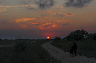 click for enlarge 1920 X 1280 386.4 Kb picture