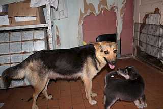 click for enlarge 1920 X 1280 134.5 Kb picture