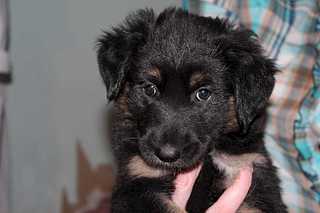 click for enlarge 1920 X 1280 138.5 Kb picture