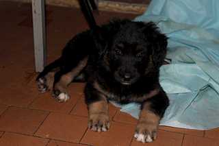 click for enlarge 1920 X 1280 90.3 Kb picture