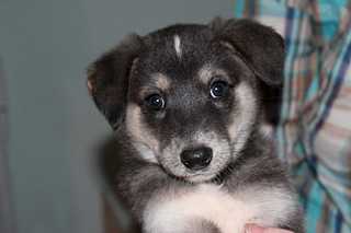 click for enlarge 1920 X 1280 87.5 Kb picture