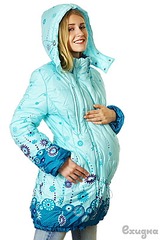 click for enlarge 500 X 750 139.2 Kb picture