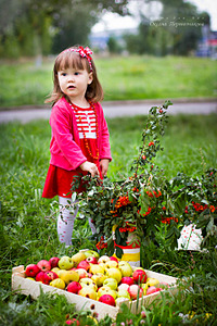 click for enlarge 1920 X 2880 610.1 Kb picture