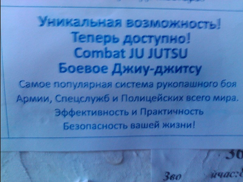 click for enlarge 1920 X 1440 370.7 Kb picture