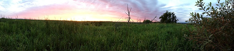 click for enlarge 1920 X 421 257.0 Kb picture