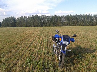 click for enlarge 1280 X 960 432.5 Kb picture