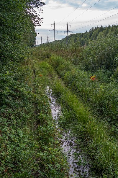 click for enlarge 683 X 1024 259.7 Kb picture