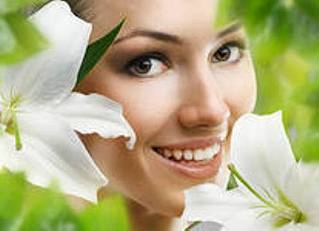 click for enlarge 496 X 359  17.7 Kb picture