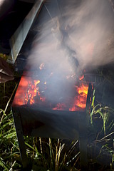 click for enlarge 1920 X 2880 770.3 Kb picture