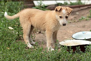 click for enlarge 1280 X 853 268.1 Kb picture