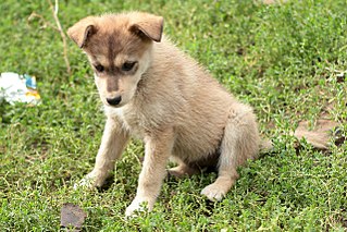 click for enlarge 1280 X 853 344.3 Kb picture