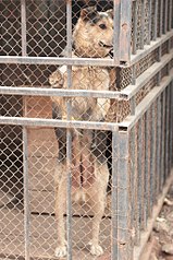 click for enlarge 682 X 1024 207.6 Kb picture