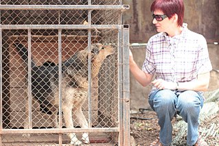 click for enlarge 1280 X 853 335.0 Kb picture