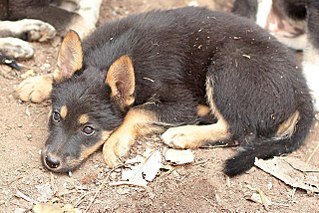 click for enlarge 1280 X 853 338.5 Kb picture