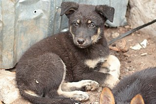 click for enlarge 1280 X 853 215.6 Kb picture