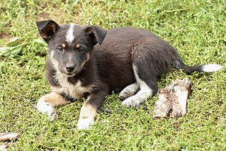 click for enlarge 1280 X 853 413.0 Kb picture