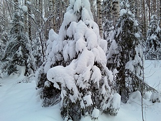 click for enlarge 1600 X 1200 741.0 Kb picture