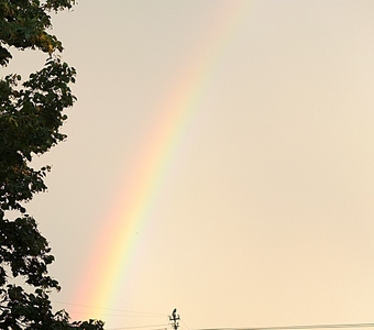 click for enlarge 1920 X 1689 1002.6 Kb picture