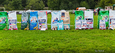 click for enlarge 1920 X 892 864.0 Kb picture