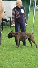 click for enlarge 575 X 1024 122.3 Kb picture