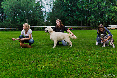 click for enlarge 1920 X 1279 462.5 Kb picture