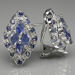click for enlarge 300 X 300 121.4 Kb picture