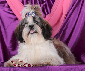 click for enlarge 548 X 463 80.5 Kb picture